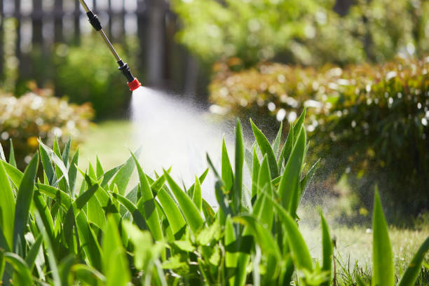 Tamper-Resistant Bait Stations for Rodents in Strasburg